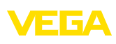 VEGA